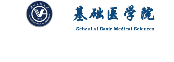 成人卡通
（2022）